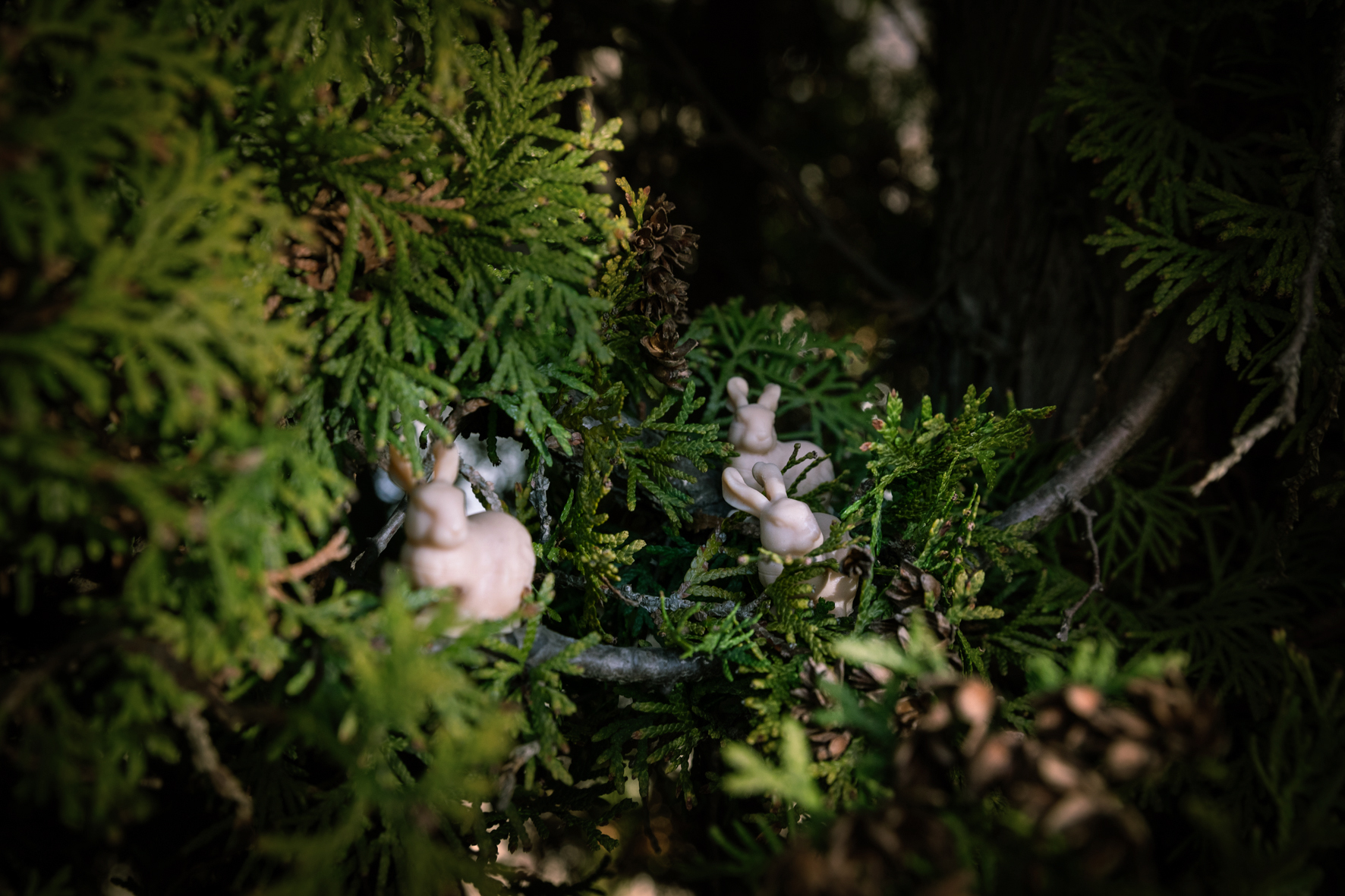 Easter case report: Avoiding Easter frustrations with Planmeca Creo™ C5