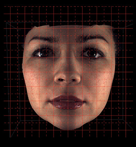 Measure distances and relationships between bone and soft tissue 